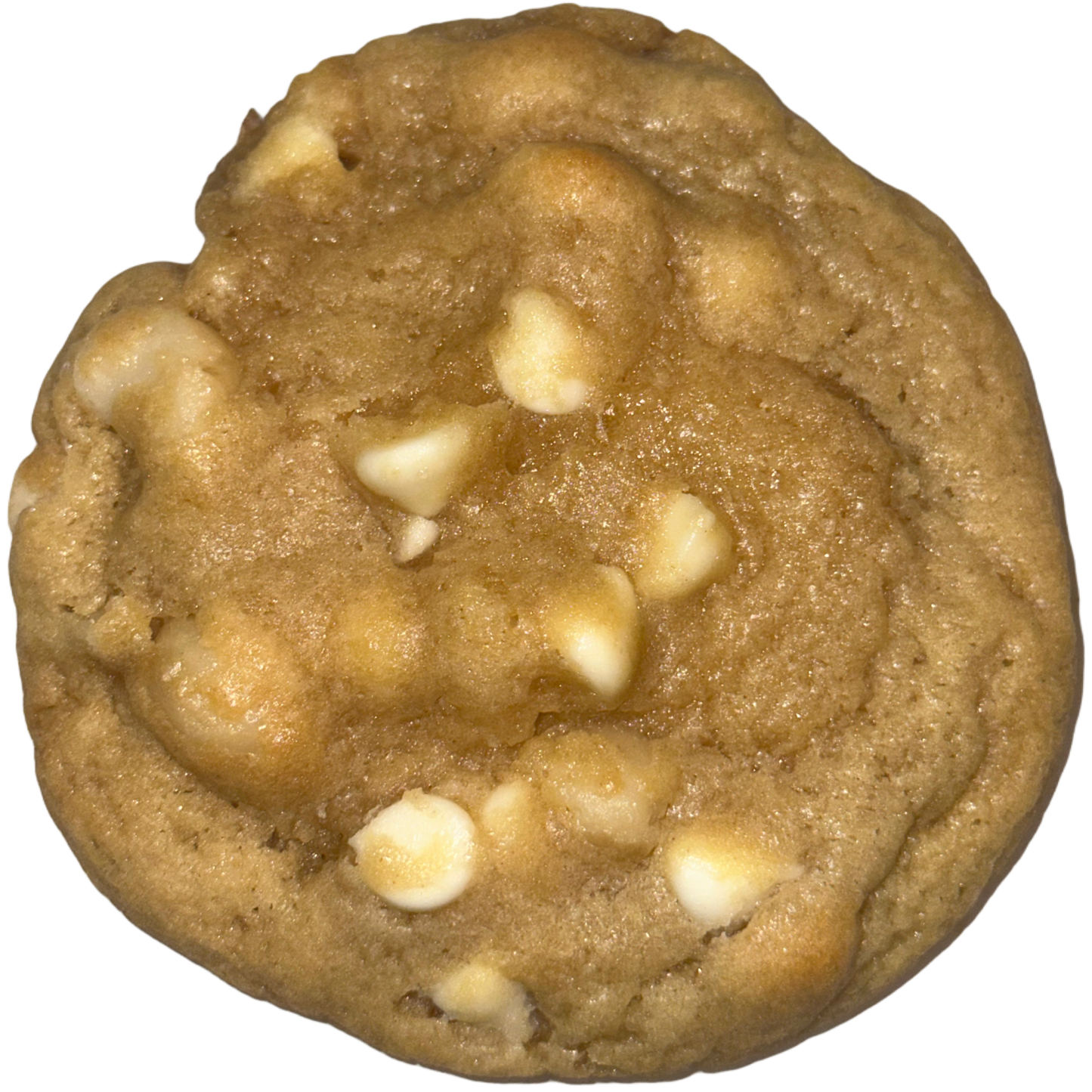 Macadamia Nut Cookie